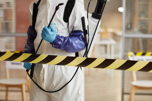 Professional Sewage Cleanup technician working in East Andover, NH